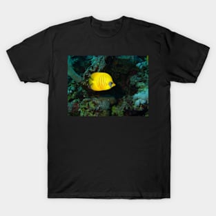 Red Sea Gold T-Shirt